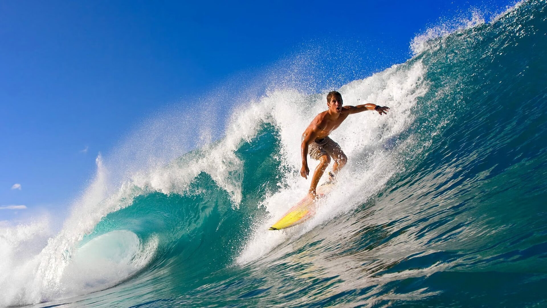 小众精彩：那些未被关注的细节瞬间