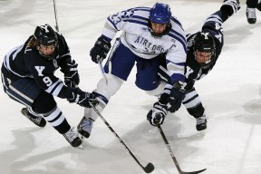 青少年足球创新教育模式逐步推广，培养未来之星，青少年足球普及